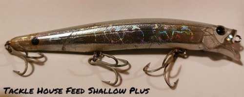 Tackle House Feed Shallow 128