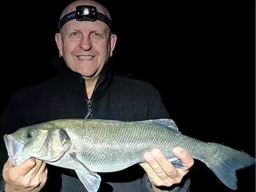 Bass caught at night