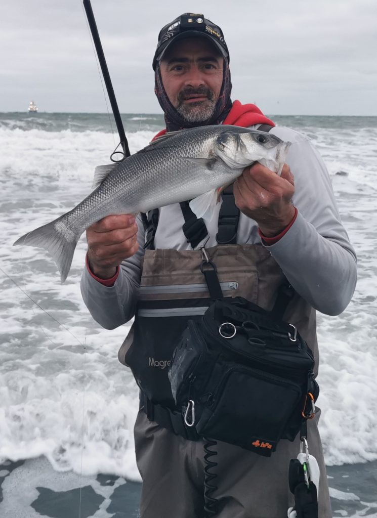 Bass Fishing In The Surf