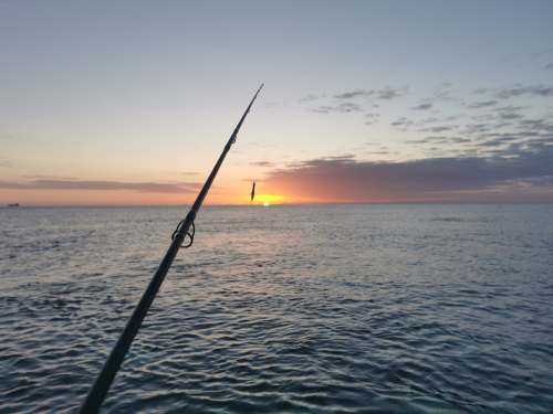 lure fishing uk